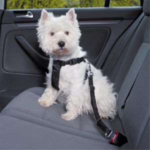 harness harness